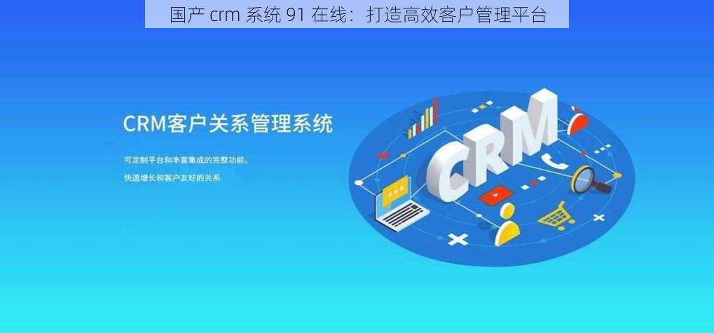 国产 crm 系统 91 在线：打造高效客户管理平台