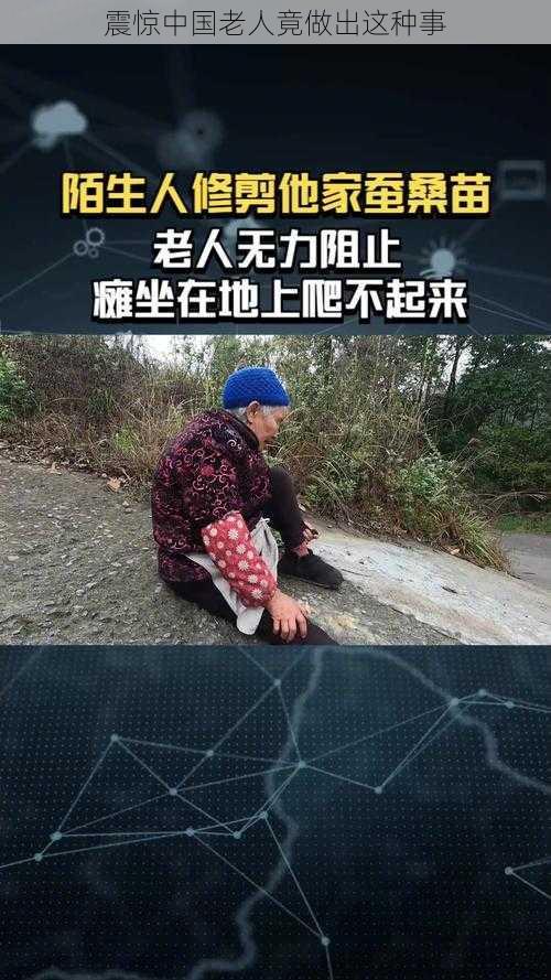 震惊中国老人竟做出这种事