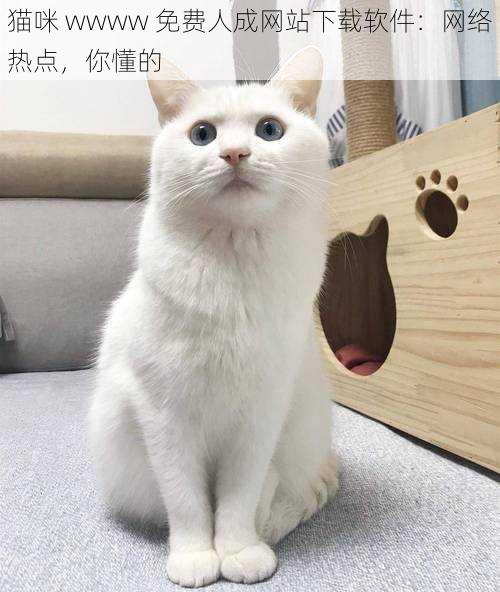 猫咪 wwww 免费人成网站下载软件：网络热点，你懂的