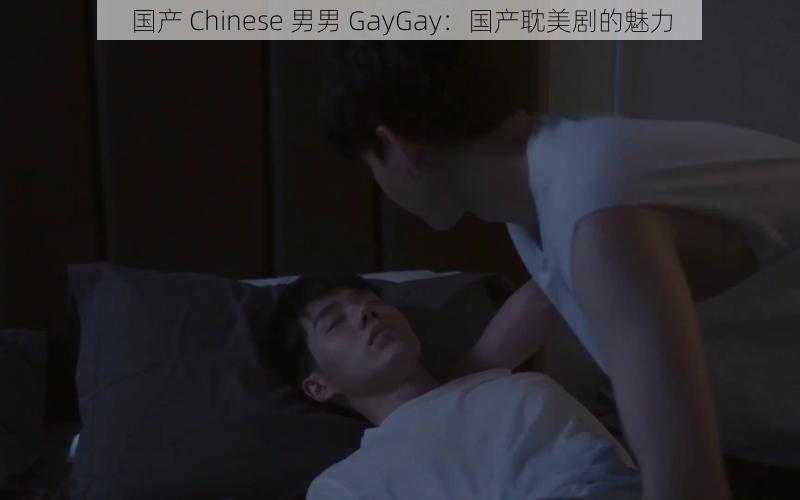 国产 Chinese 男男 GayGay：国产耽美剧的魅力