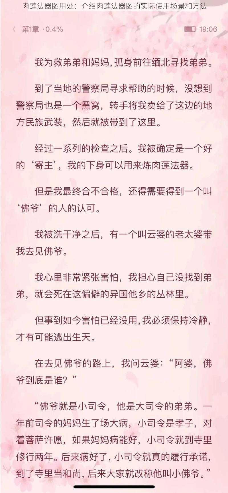 肉莲法器图用处：介绍肉莲法器图的实际使用场景和方法