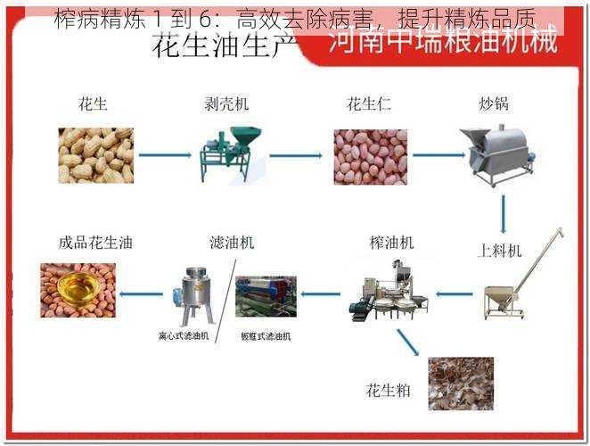 榨病精炼 1 到 6：高效去除病害，提升精炼品质