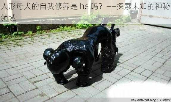 人形母犬的自我修养是 he 吗？——探索未知的神秘领域