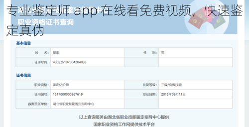 专业鉴定师 app 在线看免费视频，快速鉴定真伪