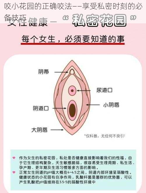 咬小花园的正确咬法——享受私密时刻的必备技巧