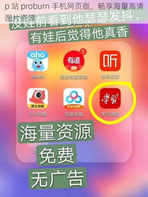 p 站 proburn 手机网页版，畅享海量高清图片资源