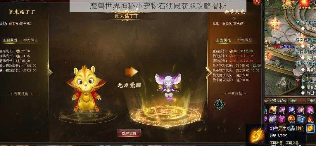 魔兽世界神秘小宠物石须鼠获取攻略揭秘