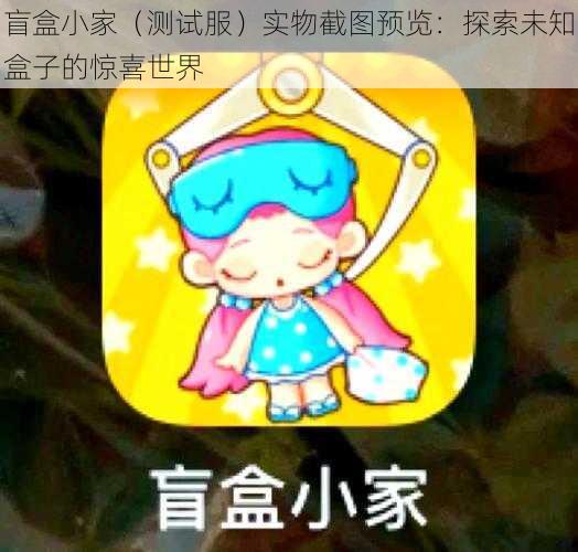 盲盒小家（测试服）实物截图预览：探索未知盒子的惊喜世界