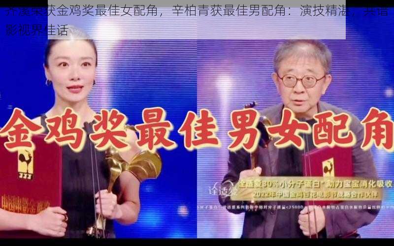 齐溪荣获金鸡奖最佳女配角，辛柏青获最佳男配角：演技精湛，共谱影视界佳话