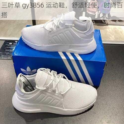 三叶草 gy3856 运动鞋，舒适轻便，时尚百搭