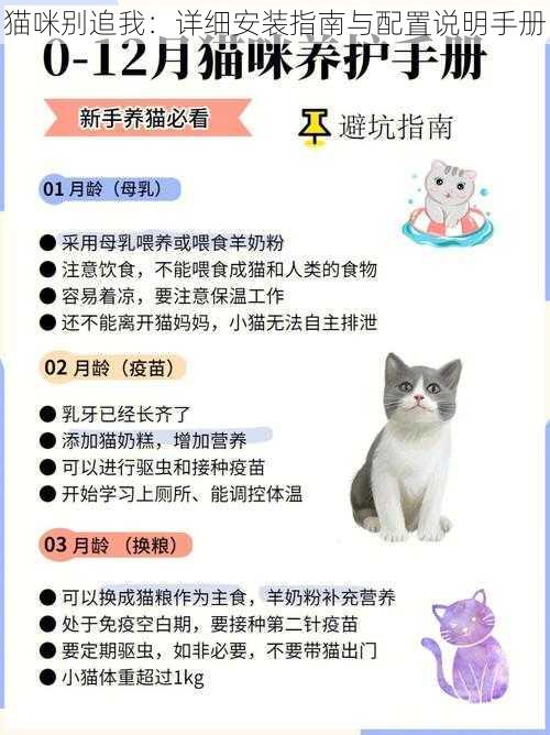 猫咪别追我：详细安装指南与配置说明手册