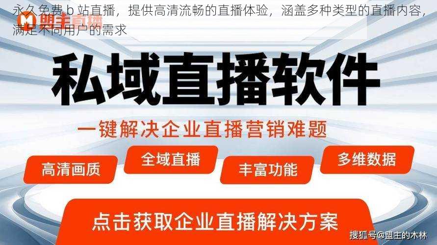 永久免费 b 站直播，提供高清流畅的直播体验，涵盖多种类型的直播内容，满足不同用户的需求