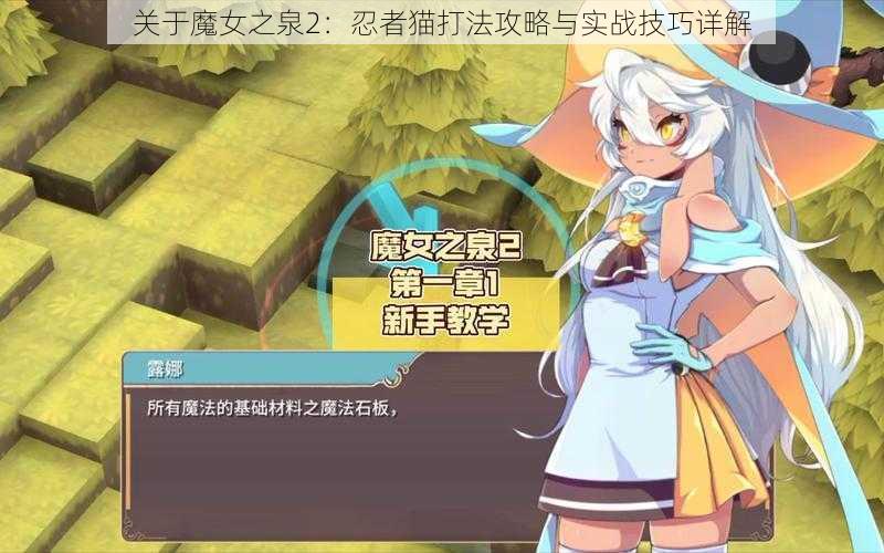 关于魔女之泉2：忍者猫打法攻略与实战技巧详解