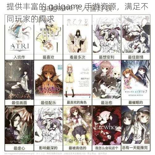 提供丰富的 galgame 手游资源，满足不同玩家的需求