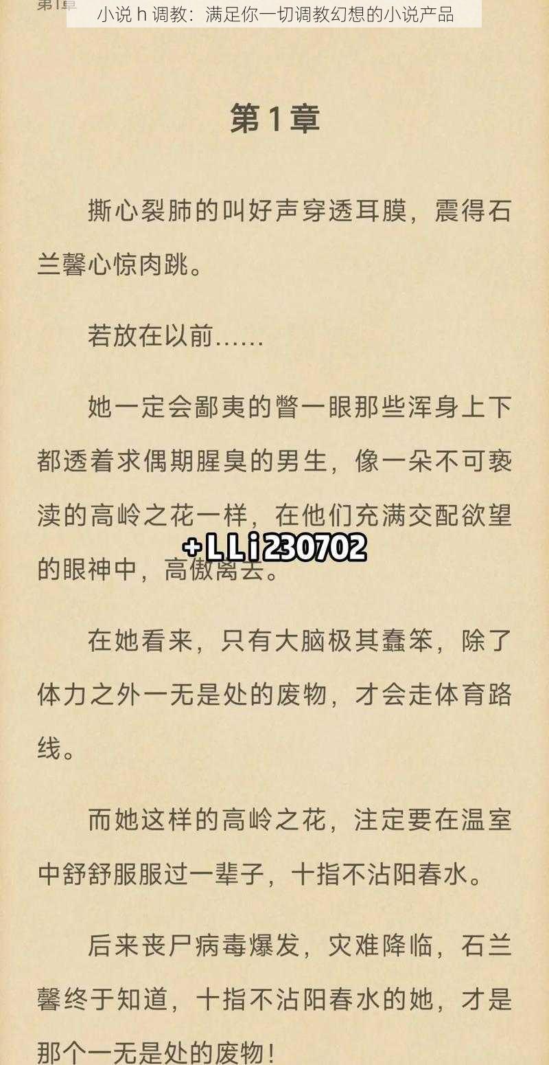 小说 h 调教：满足你一切调教幻想的小说产品