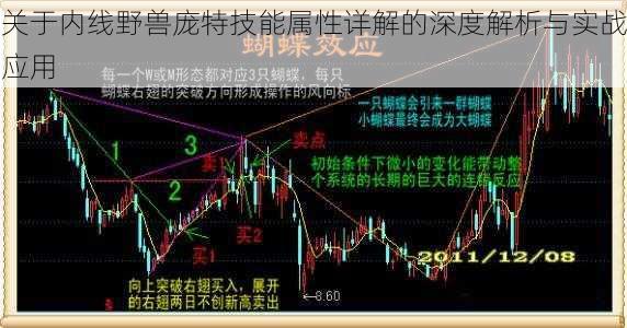 关于内线野兽庞特技能属性详解的深度解析与实战应用