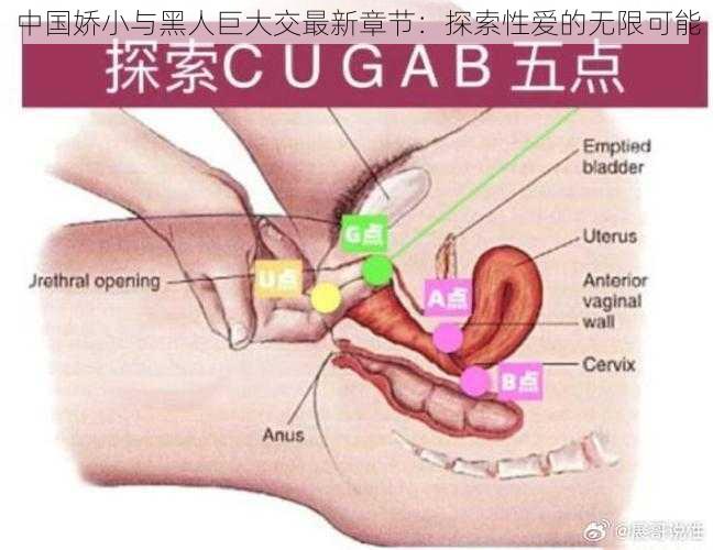 中国娇小与黑人巨大交最新章节：探索性爱的无限可能