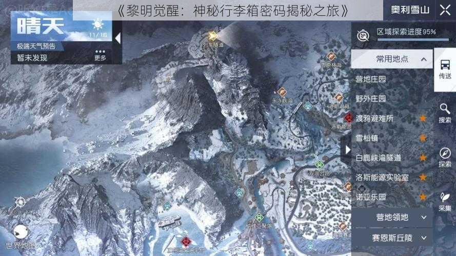 《黎明觉醒：神秘行李箱密码揭秘之旅》