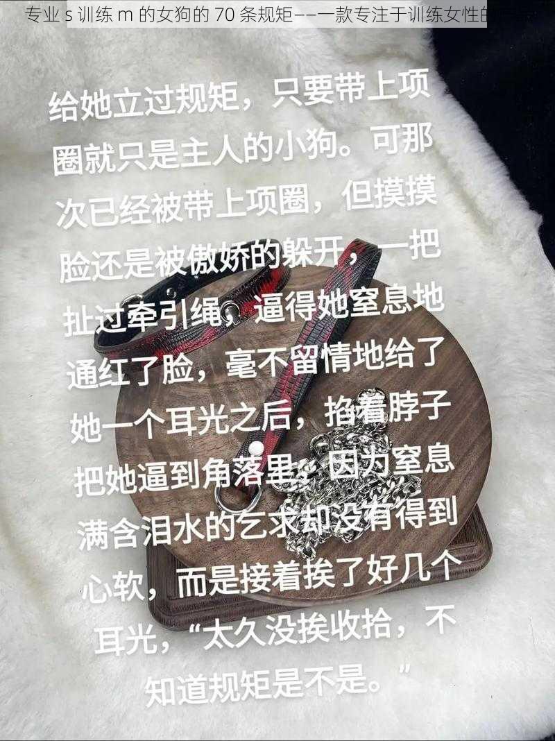 专业 s 训练 m 的女狗的 70 条规矩——一款专注于训练女性的产品