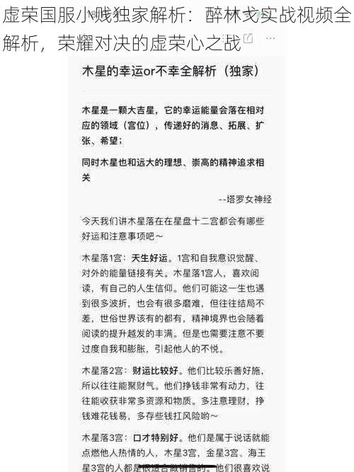 虚荣国服小贱独家解析：醉林戈实战视频全解析，荣耀对决的虚荣心之战