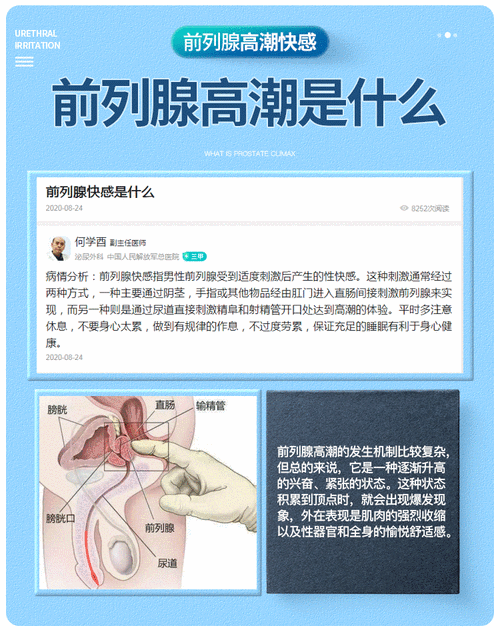 成年熊自慰 GayCHIAN 产品介绍