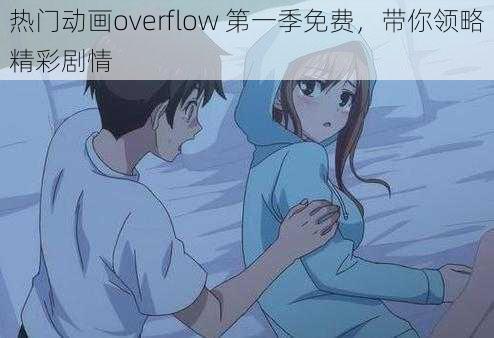 热门动画overflow 第一季免费，带你领略精彩剧情