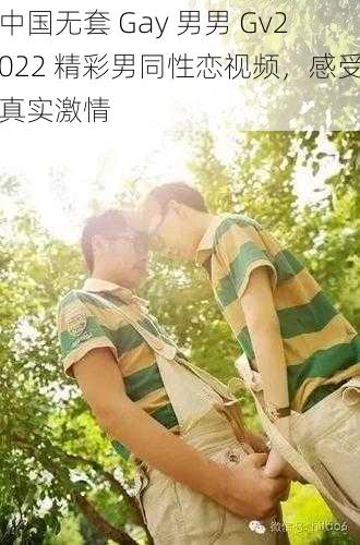 中国无套 Gay 男男 Gv2022 精彩男同性恋视频，感受真实激情