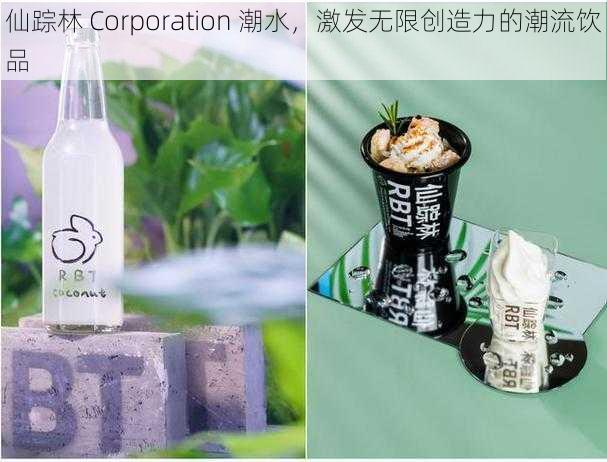 仙踪林 Corporation 潮水，激发无限创造力的潮流饮品