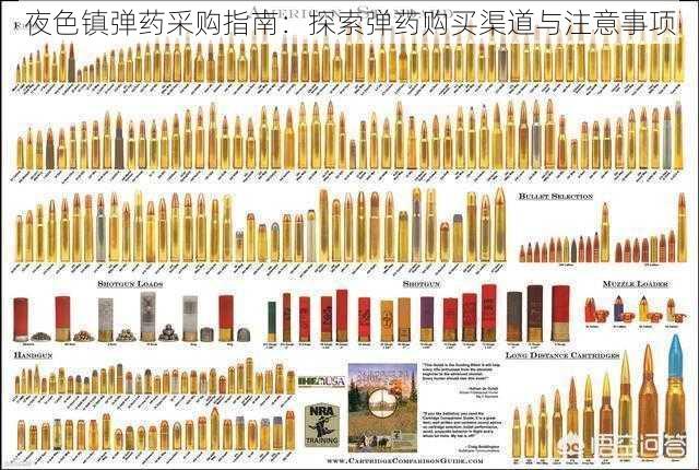 夜色镇弹药采购指南：探索弹药购买渠道与注意事项