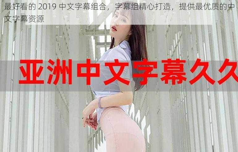 最好看的 2019 中文字幕组合，字幕组精心打造，提供最优质的中文字幕资源