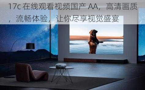 17c 在线观看视频国产 AA，高清画质，流畅体验，让你尽享视觉盛宴