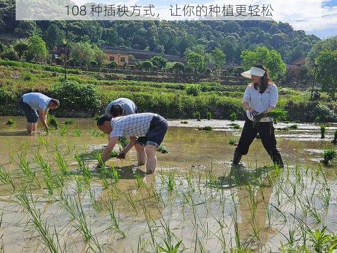 108 种插秧方式，让你的种植更轻松