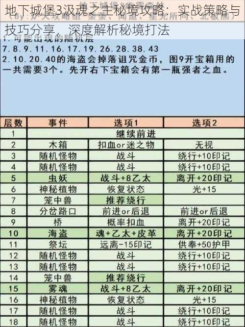 地下城堡3汲魂之主秘境攻略：实战策略与技巧分享，深度解析秘境打法