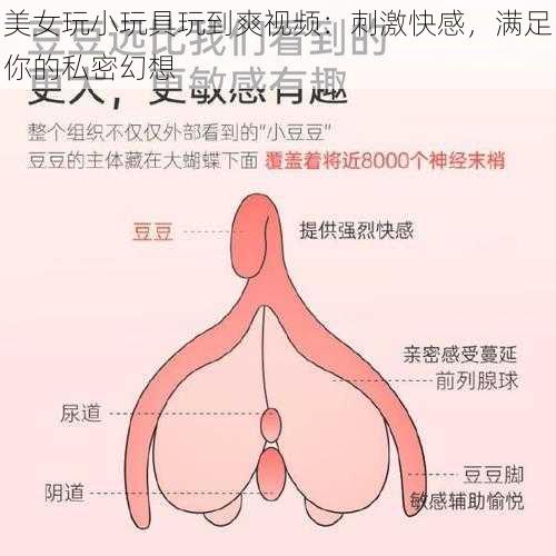 美女玩小玩具玩到爽视频：刺激快感，满足你的私密幻想