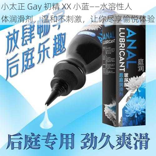 小太正 Gay 初精 XX 小蓝——水溶性人体润滑剂，温和不刺激，让你尽享愉悦体验