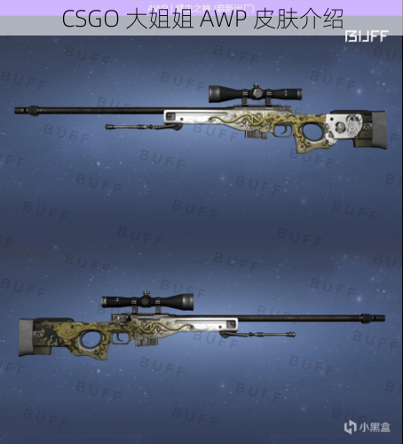 CSGO 大姐姐 AWP 皮肤介绍