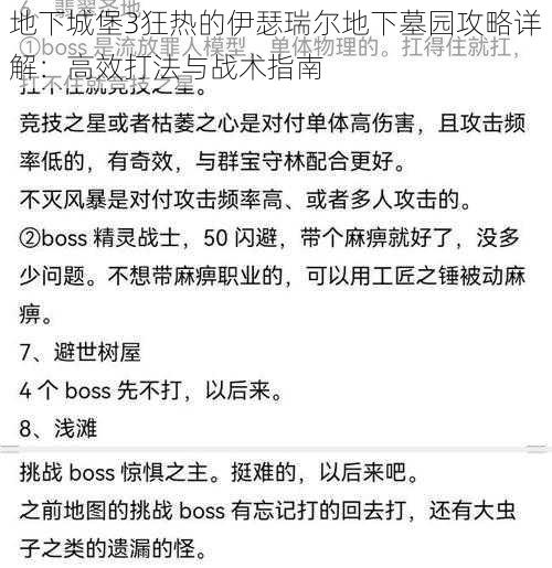 地下城堡3狂热的伊瑟瑞尔地下墓园攻略详解：高效打法与战术指南