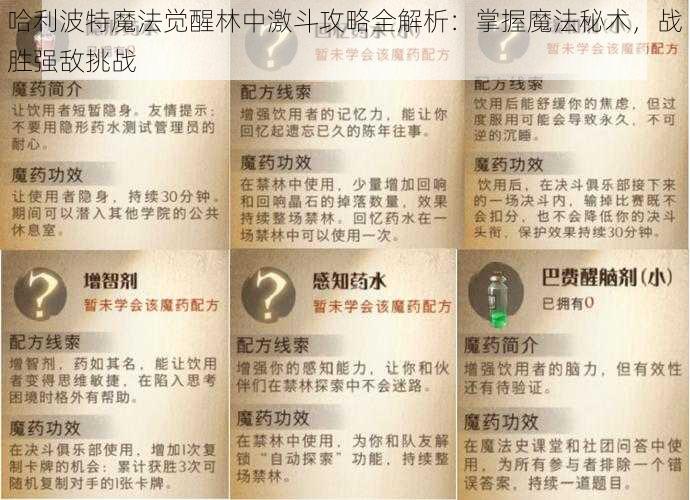 哈利波特魔法觉醒林中激斗攻略全解析：掌握魔法秘术，战胜强敌挑战