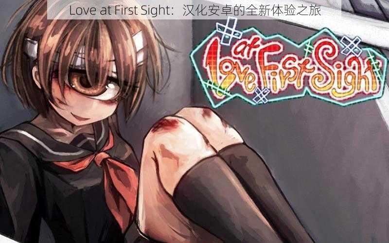 Love at First Sight：汉化安卓的全新体验之旅