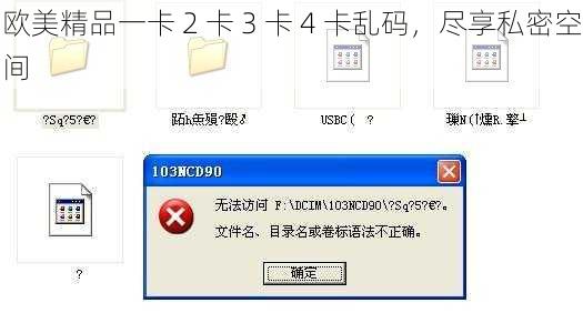 欧美精品一卡 2 卡 3 卡 4 卡乱码，尽享私密空间