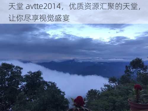 天堂 avtte2014，优质资源汇聚的天堂，让你尽享视觉盛宴