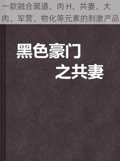 一款融合黑道、肉 H、共妻、大肉、军营、物化等元素的刺激产品