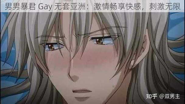 男男暴君 Gay 无套亚洲：激情畅享快感，刺激无限