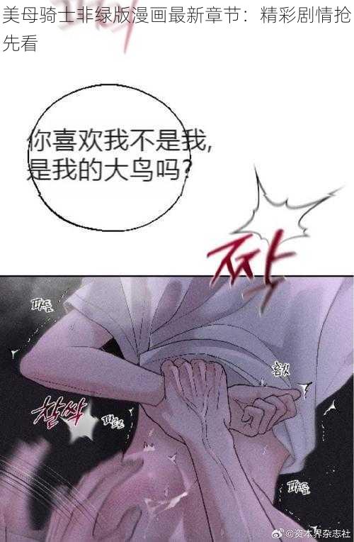 美母骑士非绿版漫画最新章节：精彩剧情抢先看