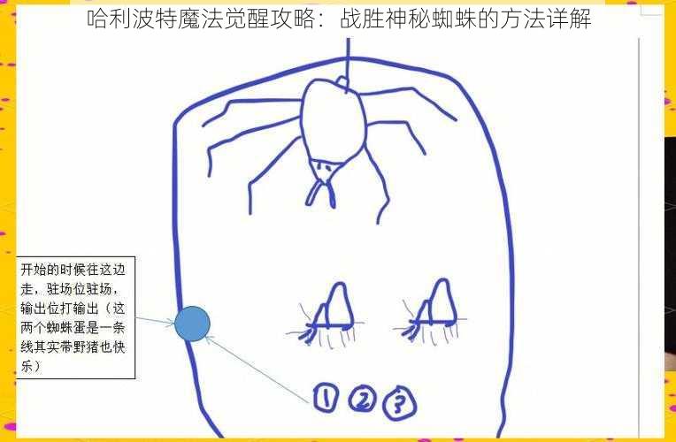 哈利波特魔法觉醒攻略：战胜神秘蜘蛛的方法详解