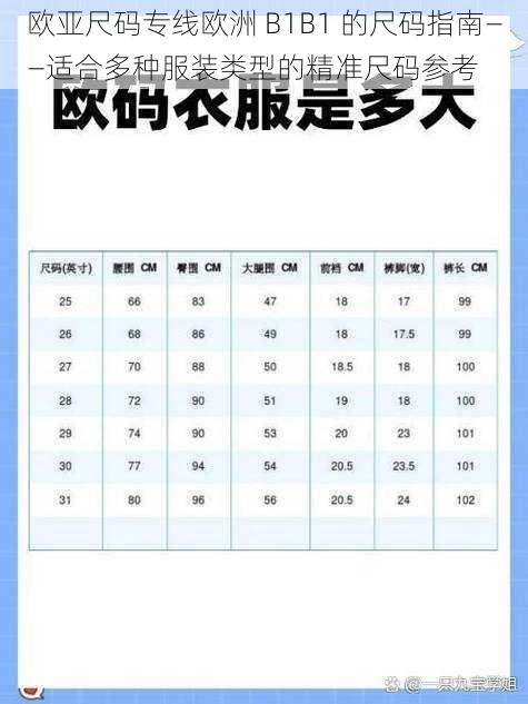 欧亚尺码专线欧洲 B1B1 的尺码指南——适合多种服装类型的精准尺码参考