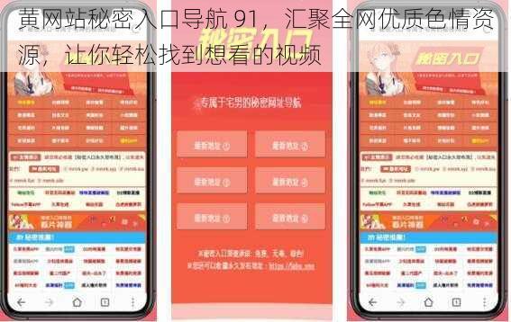 黄网站秘密入口导航 91，汇聚全网优质色情资源，让你轻松找到想看的视频