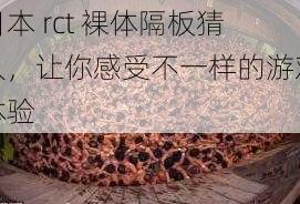 日本 rct 裸体隔板猜人，让你感受不一样的游戏体验