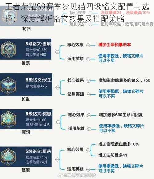 王者荣耀S9赛季梦见猫四级铭文配置与选择：深度解析铭文效果及搭配策略