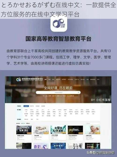 とろかせおるがずむ在线中文：一款提供全方位服务的在线中文学习平台